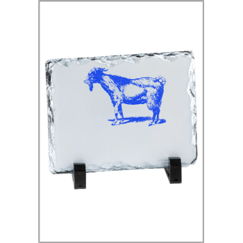 picture_300023_343960