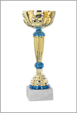 picture_320057_343970