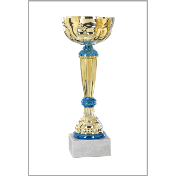 picture_320057_343971