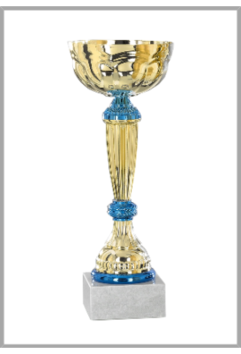 picture_320057_343973