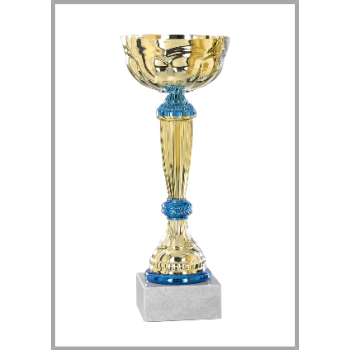 picture_320057_343973