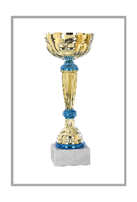 picture_320057_343975