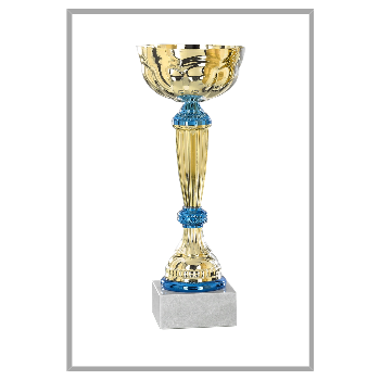 picture_320057_343975