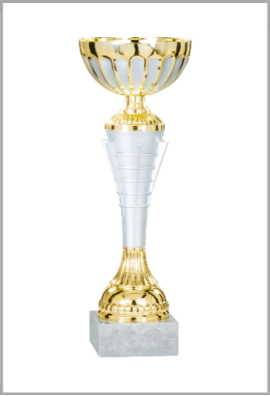 Coupe Économique métal : 1501