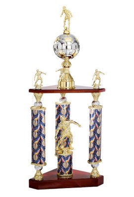 Trophée Football 88-31