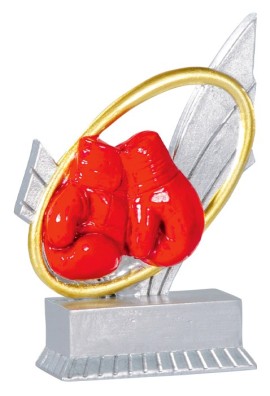 Trophée Boxe 31404