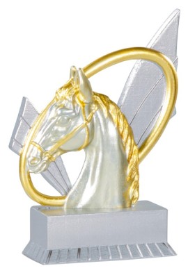 Trophée Equitation 31407