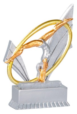 Trophée Gymnastique 31411