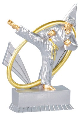 Trophée Karaté 31419