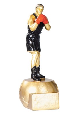 Trophée Boxe 71504