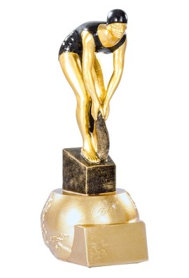 Trophée Natation  Féminin 71519