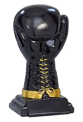 Trophée Boxe Gant 52537