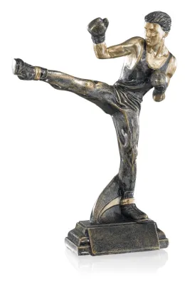 Trophée Boxe Française 52558