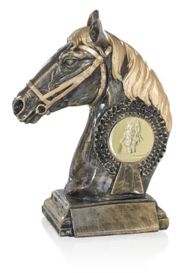 Trophée Equitation 52656