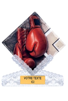 Trophée Boxe 46103