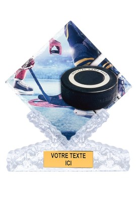 Trophée Hockey sur glace 46113