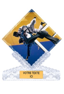 Trophée Judo 46114