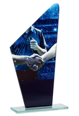 Trophée Football Fair Play 66109