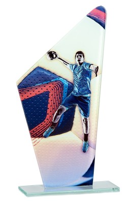 Trophée Handball 66113