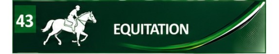 Equitation