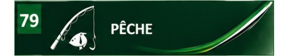 Pêche