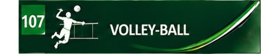 Volley-ball
