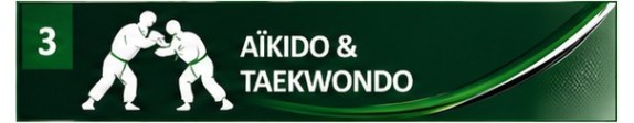 Aïkido & Taekwondo