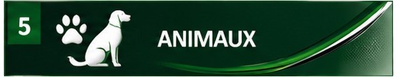 Animaux