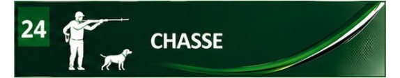 Chasse