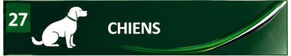 Chiens