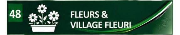 Fleurs & Village fleuri