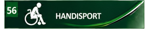 Handisport
