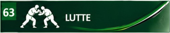 Lutte