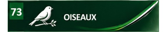 Oiseaux