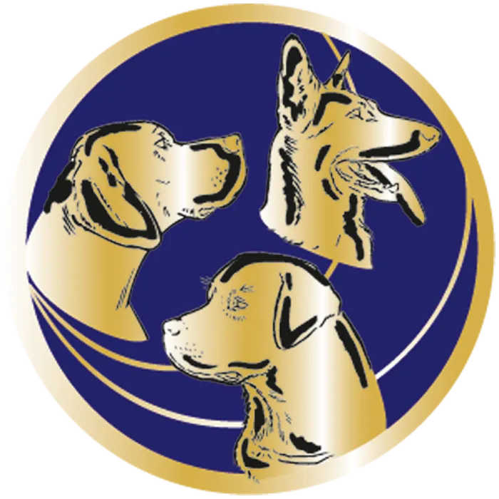 Médaille Personnalisée Ø 70 mm – Q-079