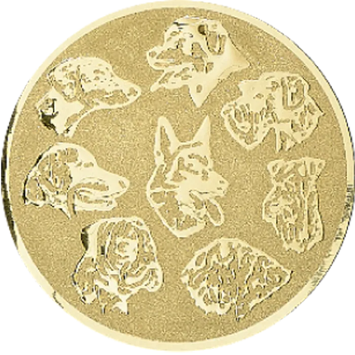 Médaille Ø 40 mm Personnalisée  - NF05