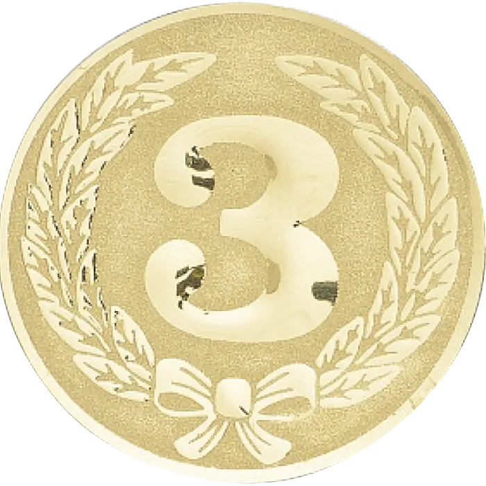 Médaille Ø 40 mm Personnalisée  - NF05