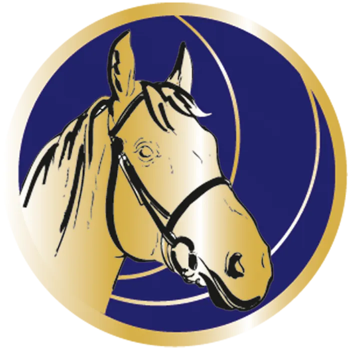 Trophée Personnalisé 31913-C