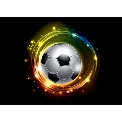 Trophée Bois Personnalisé  : BW31-SU
