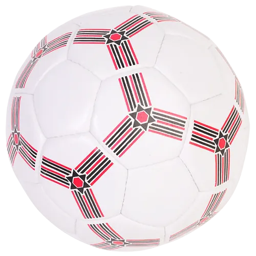 Trophée Bois Personnalisé  : BW21-SU