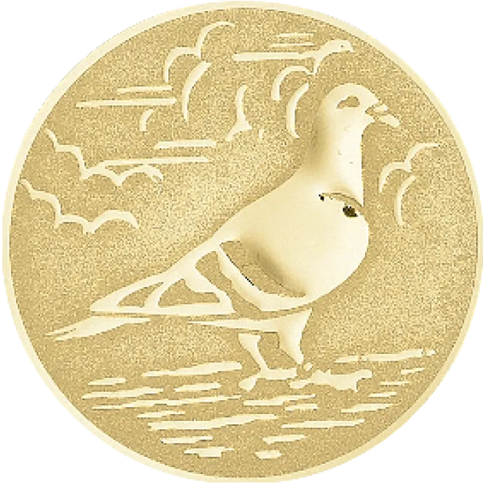 Médaille Ø 40 mm Personnalisée  - NF05