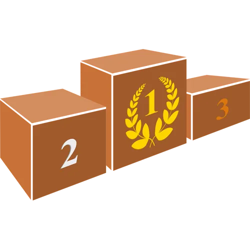 Trophée Bois Personnalisé  : BW31-SU
