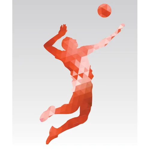 Trophée Bois Personnalisé  : BW21-SU