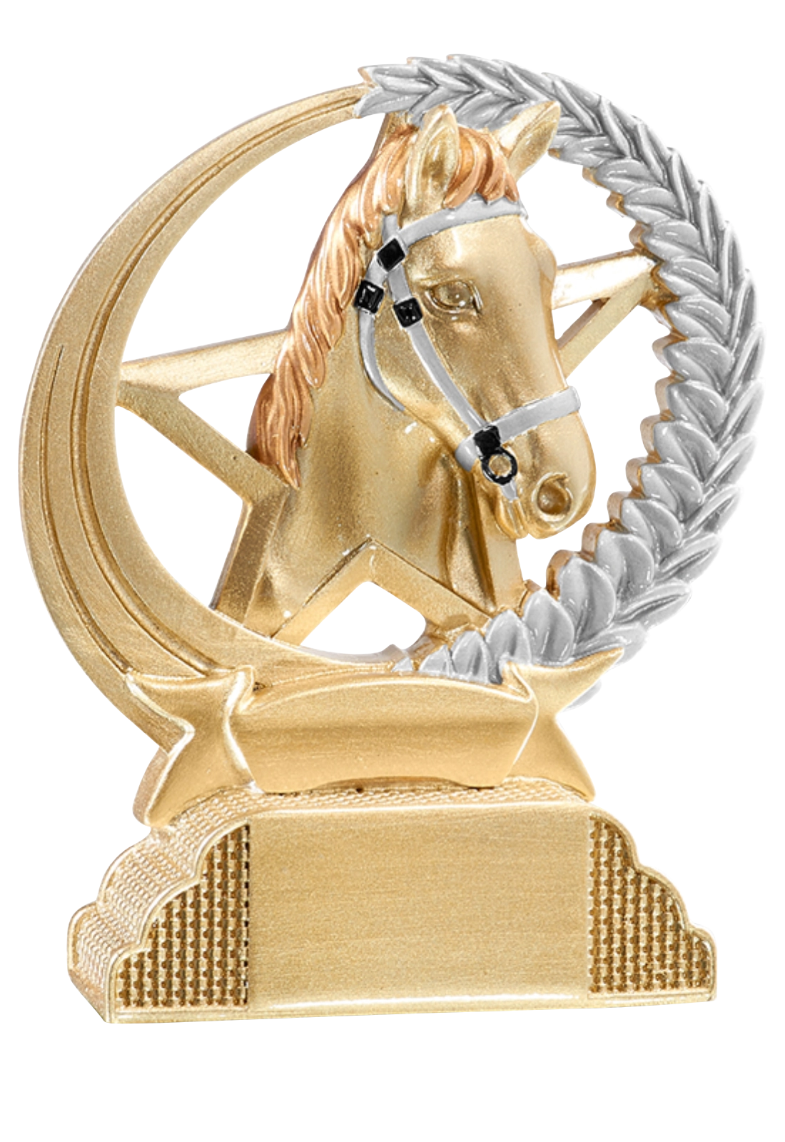 Trophée Équitation 31307