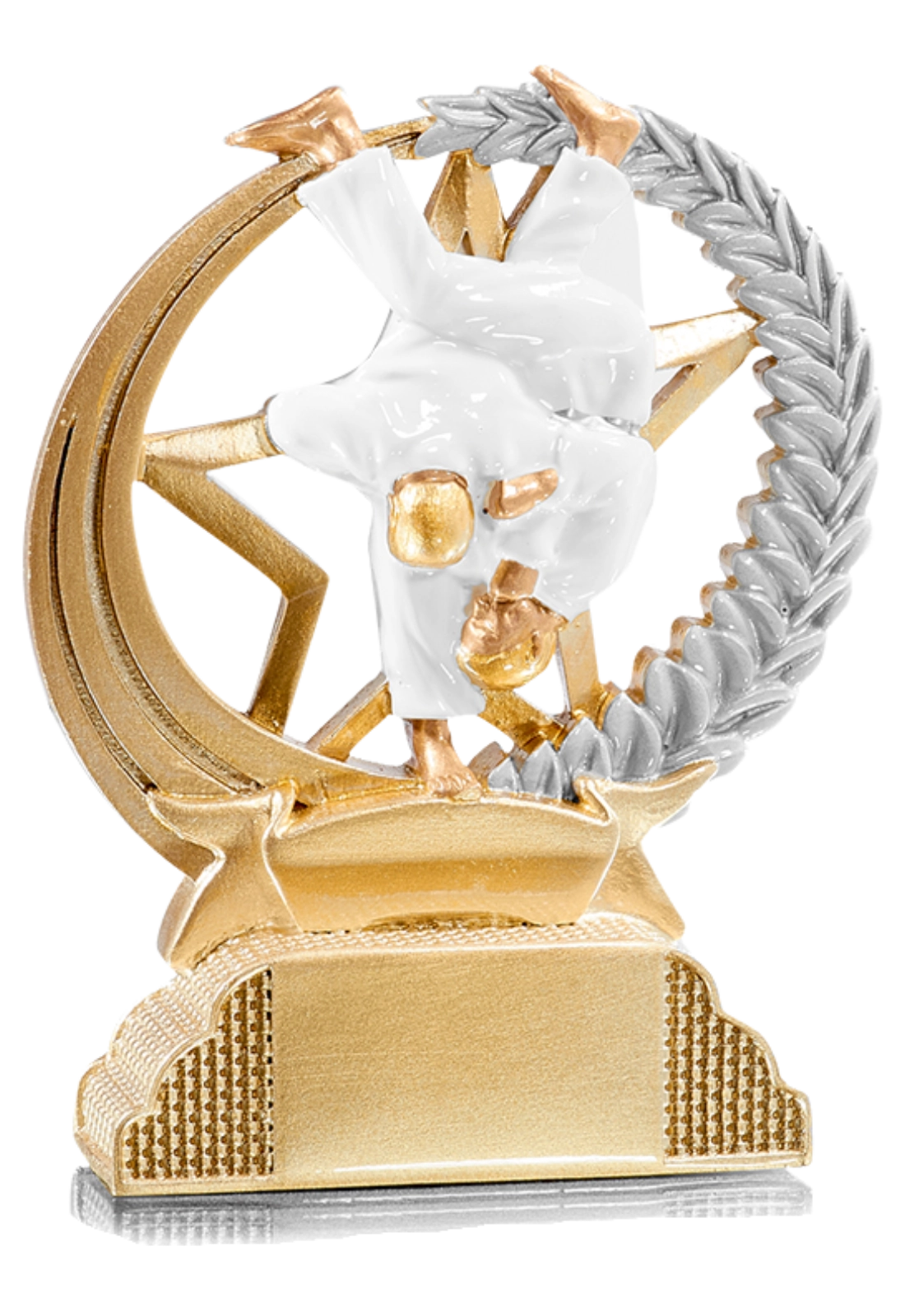 Trophée Judo 31319