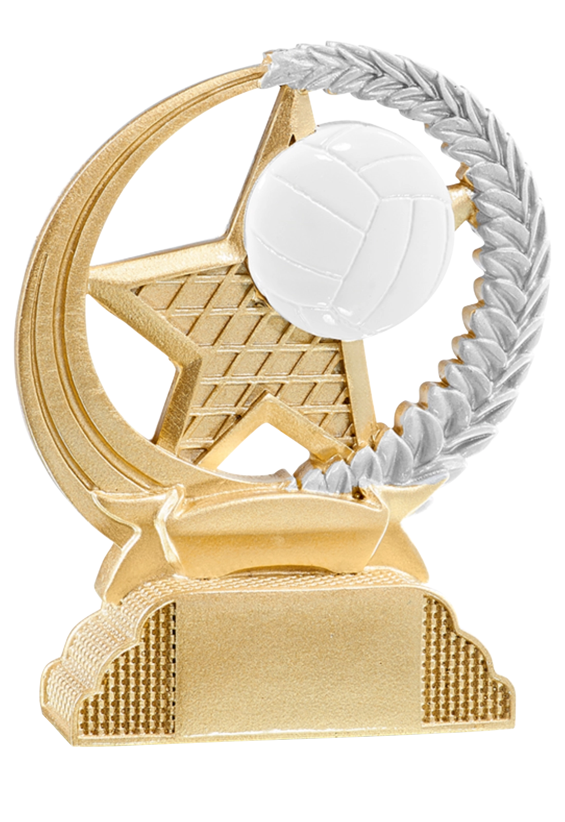 Trophée Volley-ball 31335