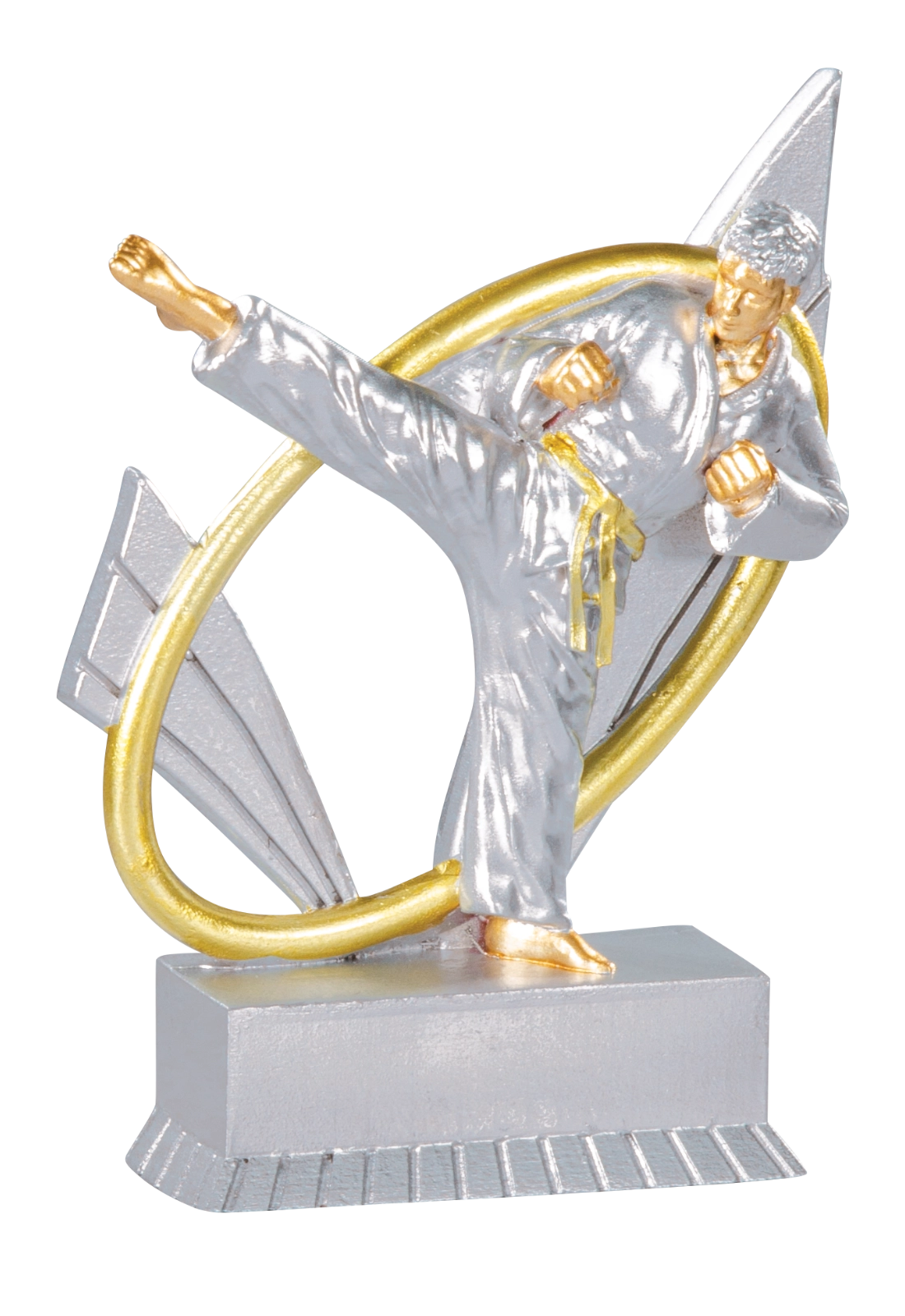 Trophée Karaté 31419