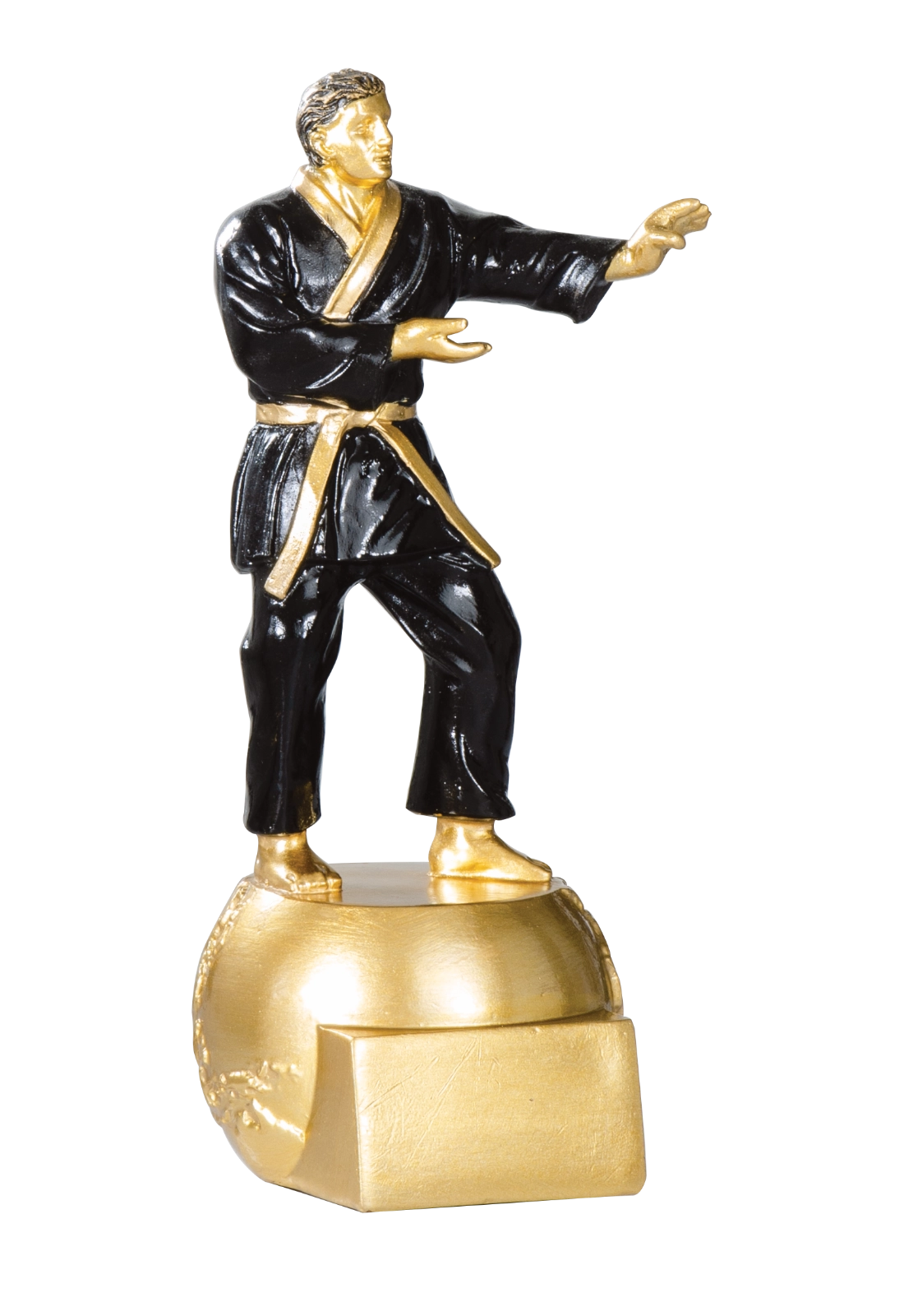 Trophée Judo 71516