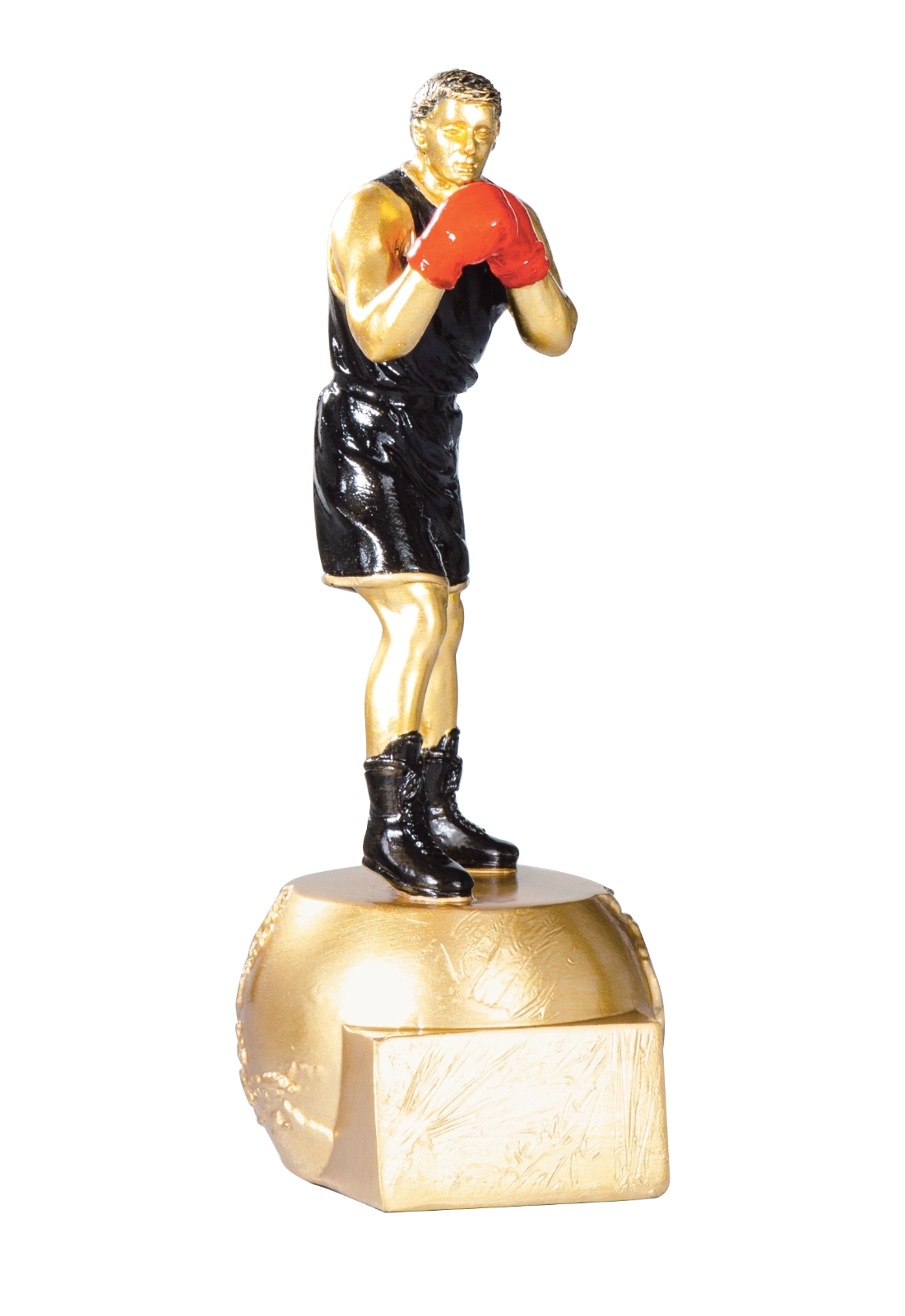 Trophée Boxe 71504