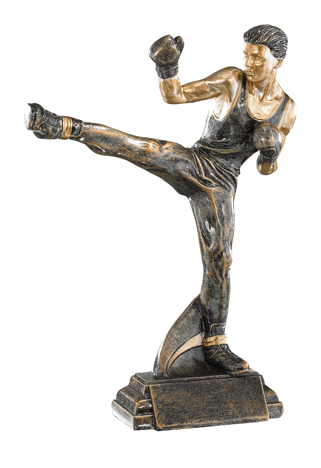 Trophée Boxe Française 52558